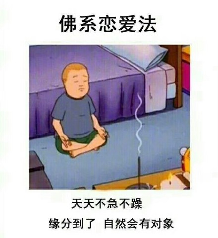 佛系日常梗图包上新！主打一个顺其自然