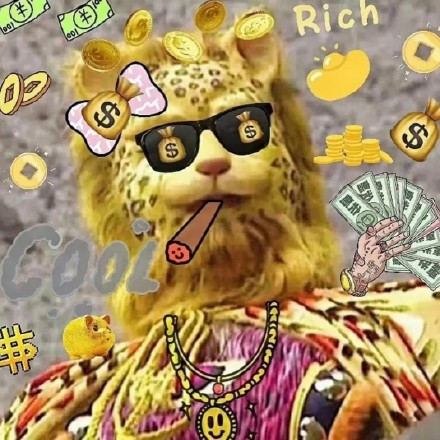 当下超火的金钱豹头像表情包合集