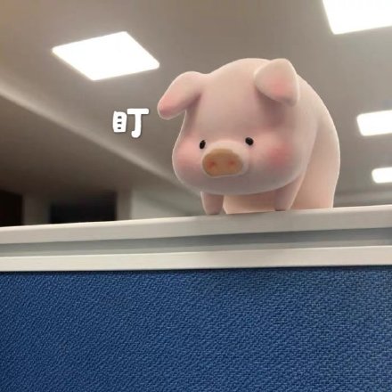 聊天斗图必备！猪猪表情包合集来啦