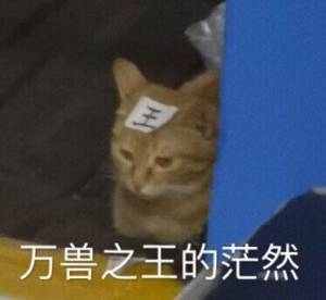 12月23日热门斗图表情包合集