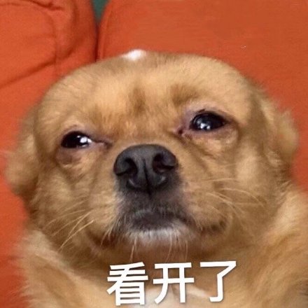 今日份精选聊天表情包来啦