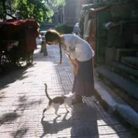 18张清新感抱猫女生头像 治愈又好看的女猫同框头像合集