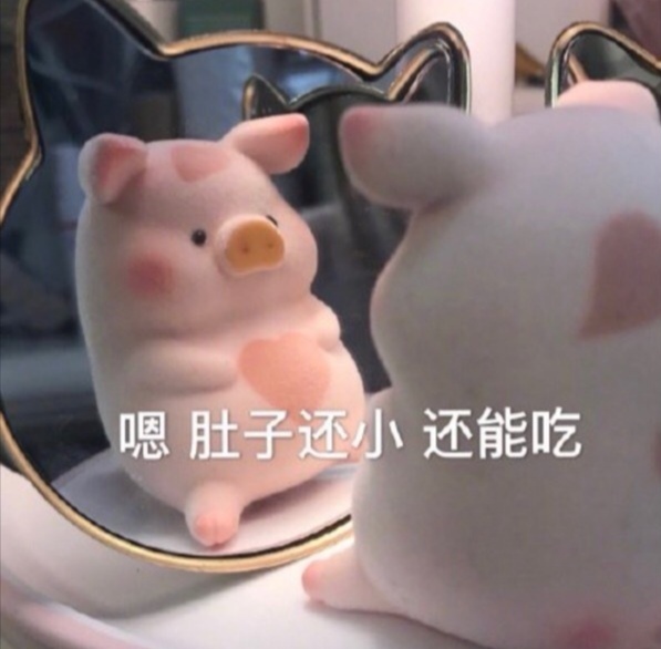 聊天斗图必备！猪猪表情包合集来啦