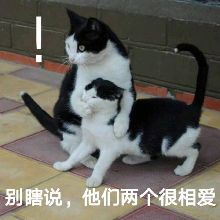 别瞎说，我们俩感情好着呢