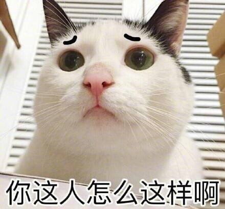 超全猫咪表情包合集来啦，斗图必备！