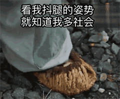 聊天斗图必备！抖脚动态表情包合集来啦