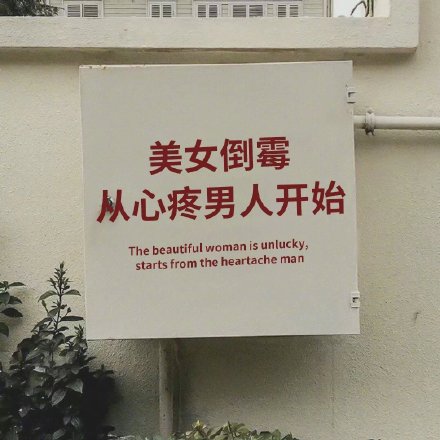 朋友圈背景图素材合集