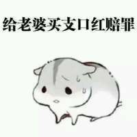 道歉向表情包合集：老婆原谅我吧，都是我的错