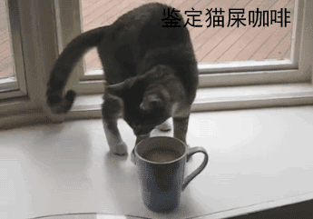 养猫的N种用处表情包合集