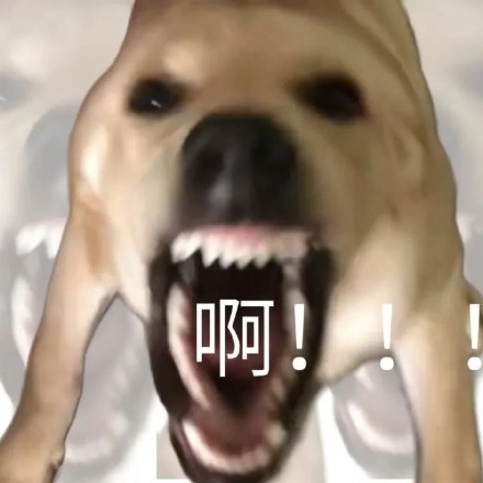 聊天斗图必备！这套带“啊”字的猫咪表情包太好用了