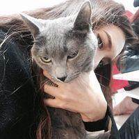 18张清新感抱猫女生头像 治愈又好看的女猫同框头像合集