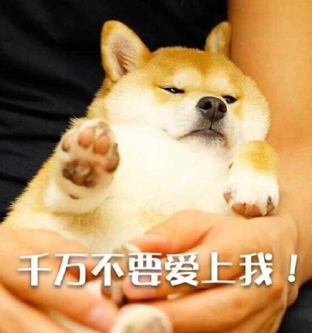 狗狗版拒绝表情包合集来啦