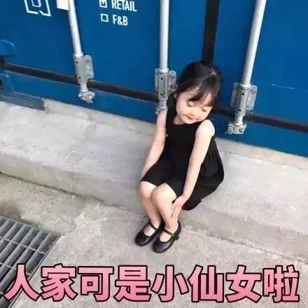 超火小仙女权律二表情包合集