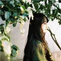 21张森系清新女生头像合集 氛围感拉满