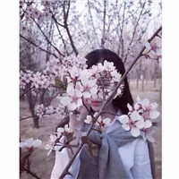 21张唯美拿花女生头像合集 鲜花女孩头像素材大全