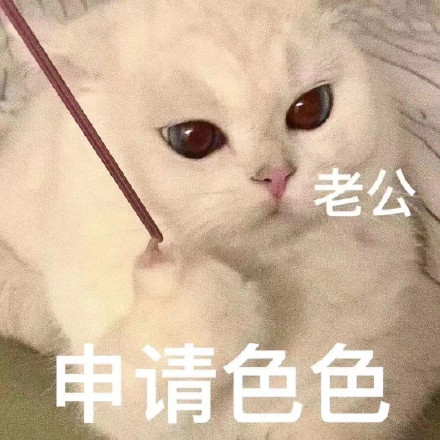 聊天斗图新宠！猫猫涩涩表情包合集