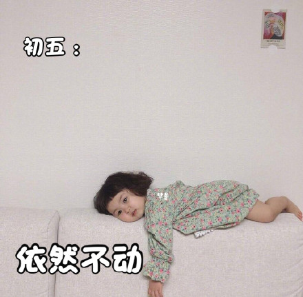 萌娃罗熙宅家一动不动表情包火了