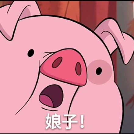 超火摇摇小猪表情包来啦！