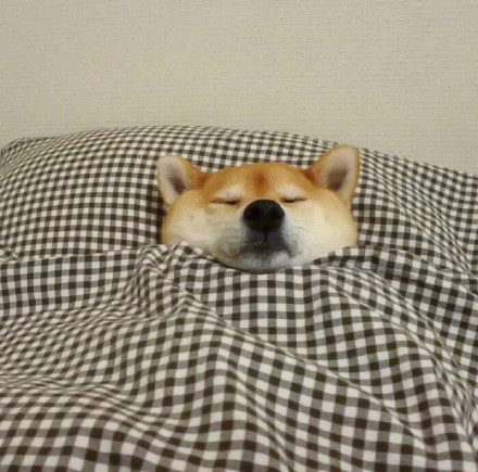 降温天必备！裹紧小被子表情包合集