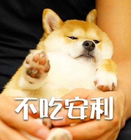 狗狗版拒绝表情包合集来啦