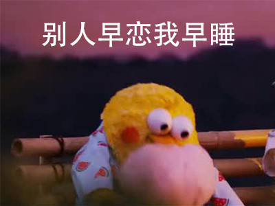 鹦鹉兄弟扎心表情包来了，看完谁不说一句真实