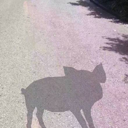 “阳光下的我vs你”表情包套装上线啦