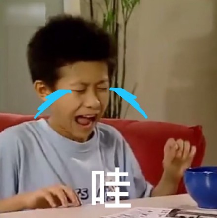 近期爆火的《家有儿女》表情包合集