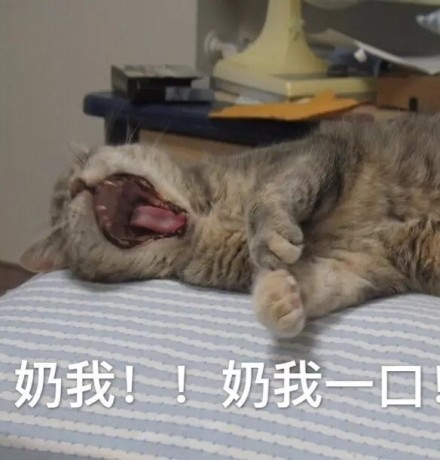 开语音打《王者荣耀》时，队友那些戳中笑点的呐喊