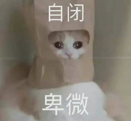 聊天斗图必备！这套沙雕猫咪表情包太绝了