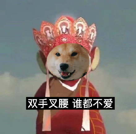 柴犬版西游记表情包来啦