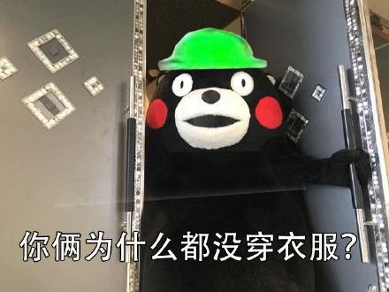 当然选择原谅了！这套熊本熊表情包火了