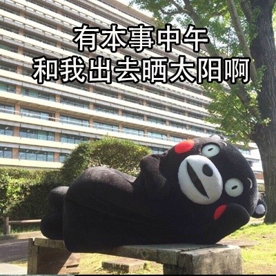 朋友圈日常同款表情包合集