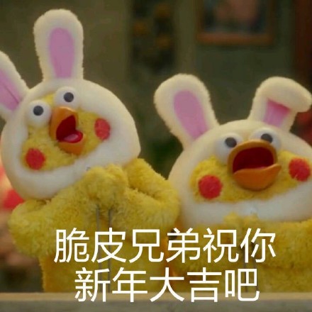 鹦鹉兄弟表情包火了！网友：这明明就是脆皮鸡嘛