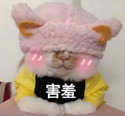 超实用害羞感表情包合集来了
