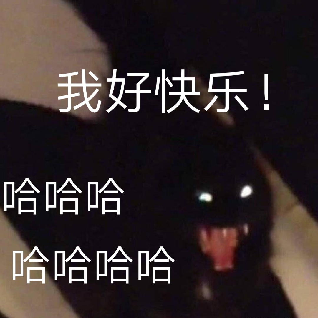 刷爆聊天框的液体猫咪表情包来啦