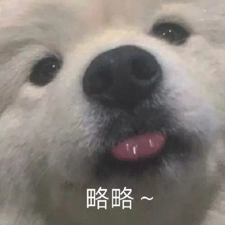 狗狗“略略略”表情包合集