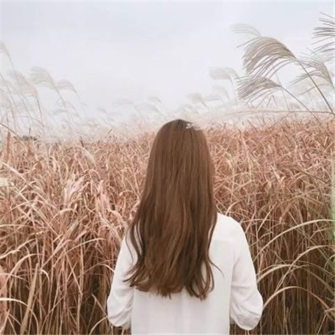 快手女生长发背影头像 12张高清快手专用头像合集