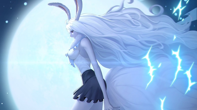 《海贼王兔耳少女高清壁纸合集》