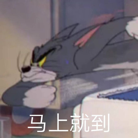 今日份精选聊天表情包来啦