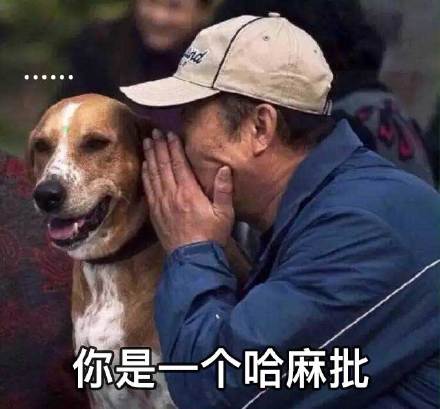 这款草泥马表情包合集太整活了