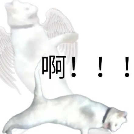 聊天斗图必备！这套带“啊”字的猫咪表情包太好用了