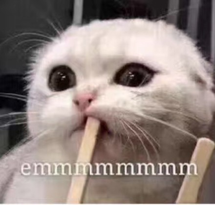 撸猫党集合！这套猫咪表情包太适合斗图了