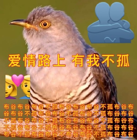 七夕整活表情包来了！牡丹、布谷鸟、孤寡青蛙三连安排