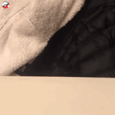 撸猫党狂喜！这套猫咪动图表情包直接戳中萌点