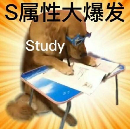 斗图神器！S属性大爆发表情包合集来啦