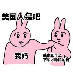 粉粉兔兔打架表情包来啦