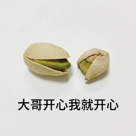 聊天必备！这套开心果表情包太好用了