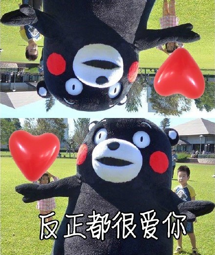520表白不用愁！这套熊本熊表情包直接拿去用