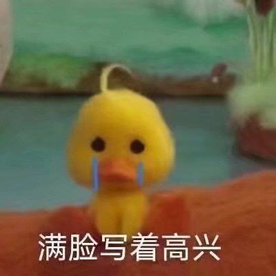 火出圈的咋肥四鸭小黄鸭表情包来啦