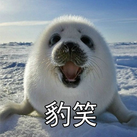 社会我豹哥！这套海豹表情包太萌了